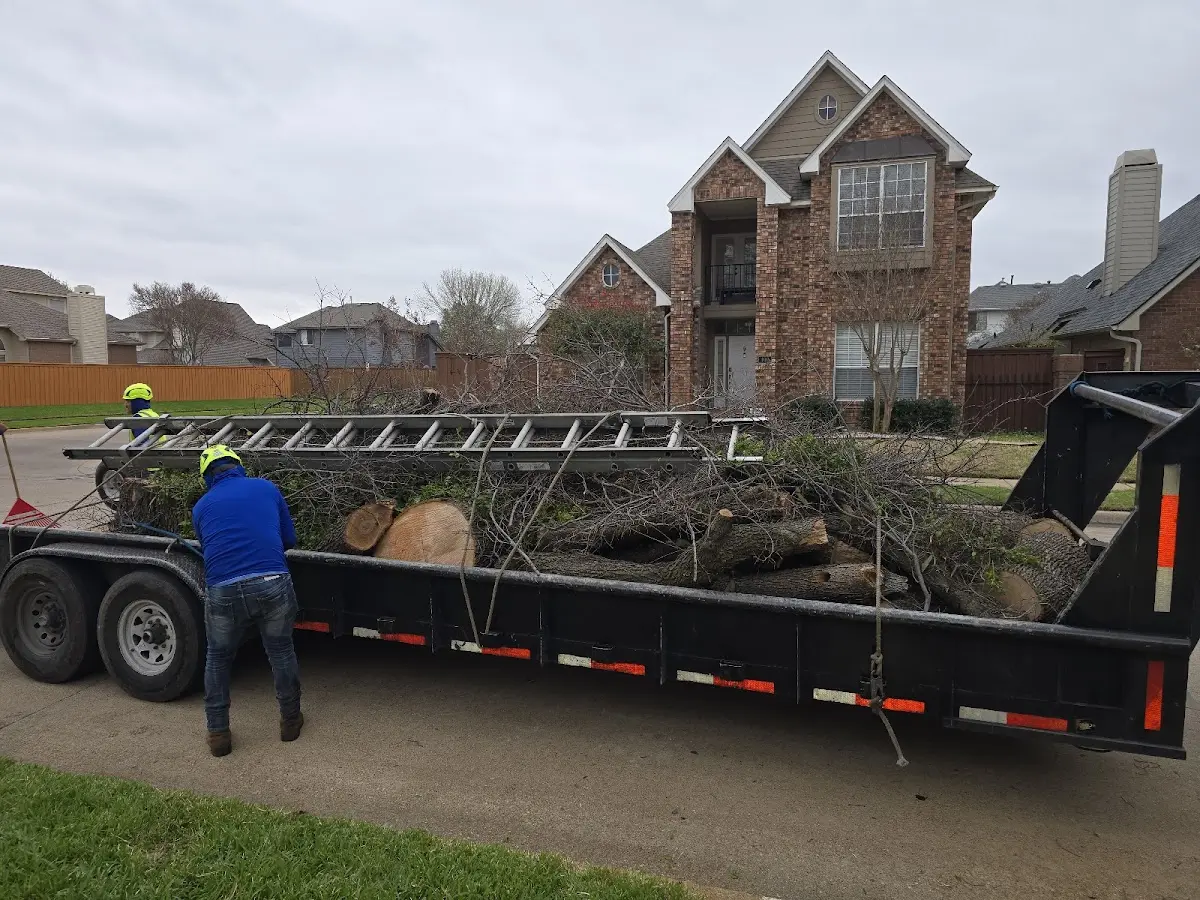 Expert Tree Pest Control with proper safety equipment in Malta